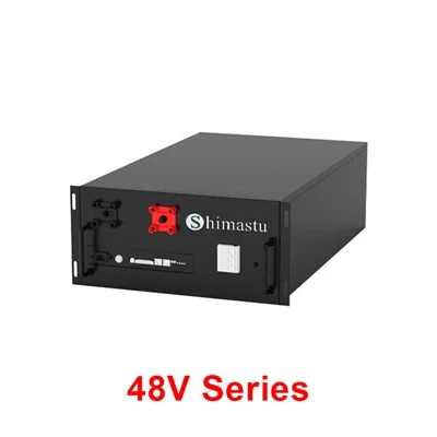 48V 리튬 배터리